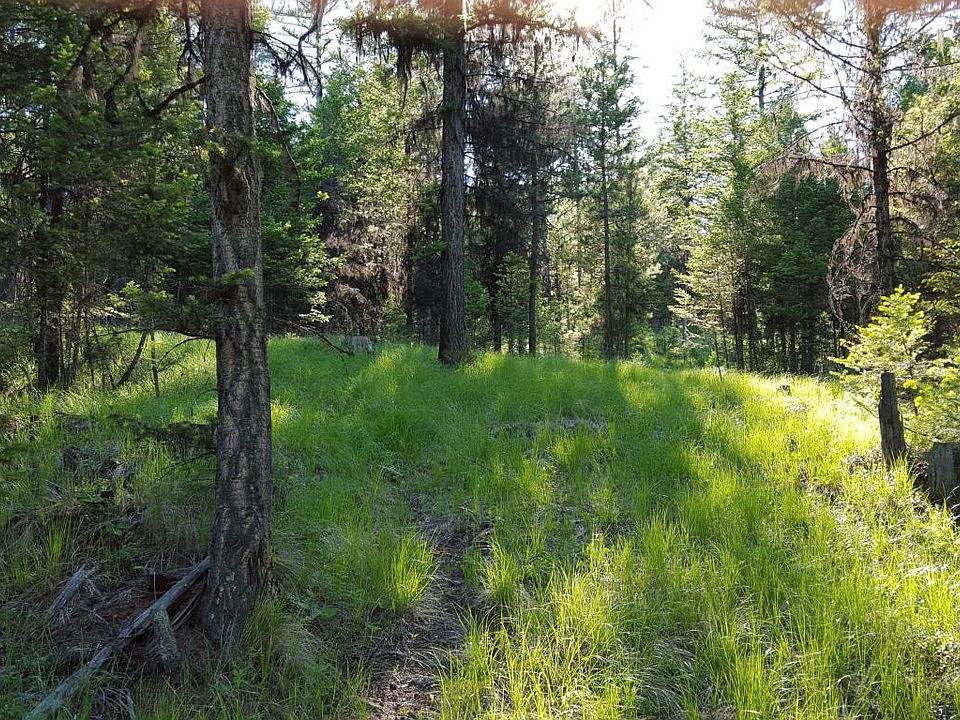 Nhn Lobo Ln, Marion, MT 59925 Zillow