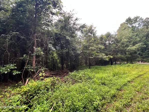 LOT 1 Prigmore Ridge Rd, Decatur, TN 37322