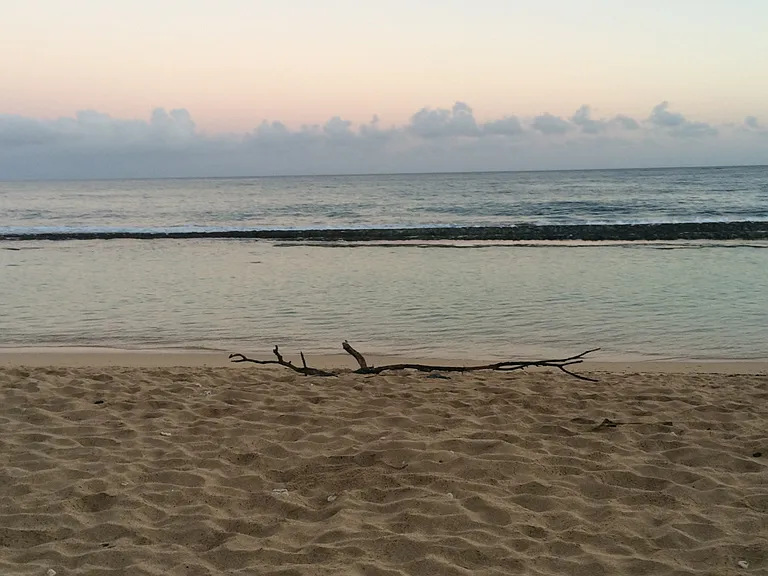 Kealakai Pl — Photo 10