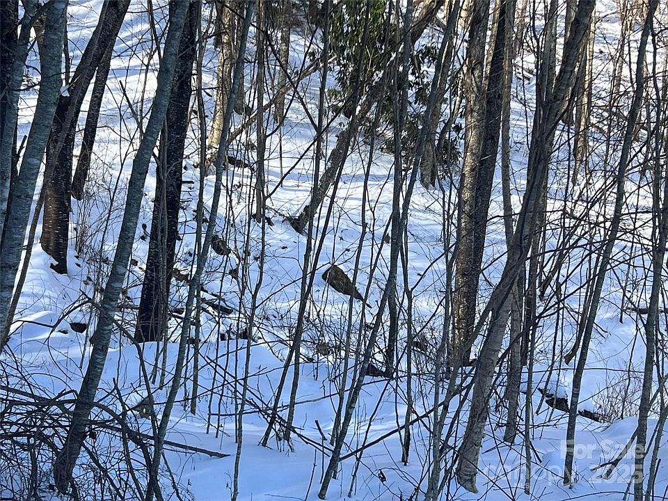 2nd image of 0 Trickle Creek Rd #24