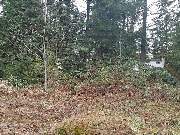 3rd image of 12126 Scenic Dr