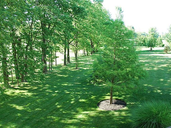 South view from deck