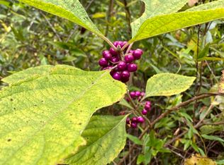 TRACT Mattox Springs Rd N #2, Caryville, FL 32427