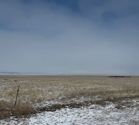 4th image of Nhn Antelope Rd