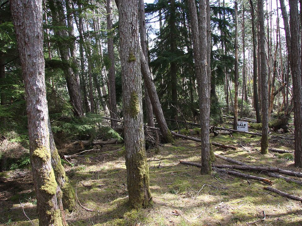 1st image of Great Location Lot 100x100 In Sunset Beach #Taxlot1406
