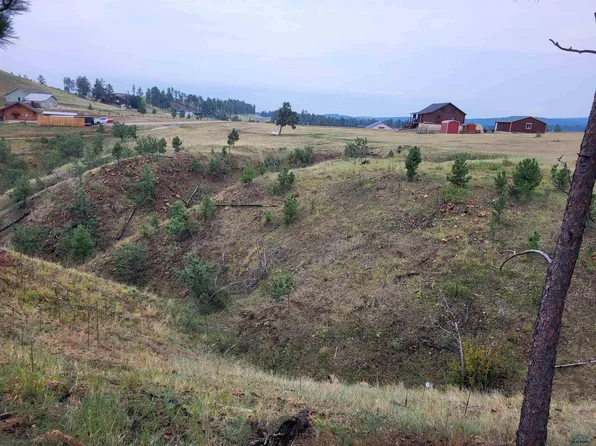 13793 Thomas Pl, Keystone, SD 57751