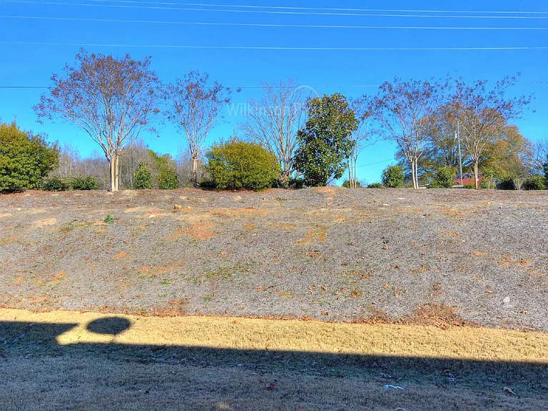 1465 Bramblewood Dr — Photo 34