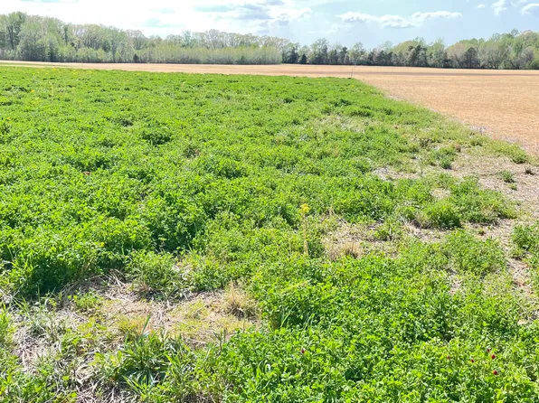 4 Law Rd, Lexington, TN 38351