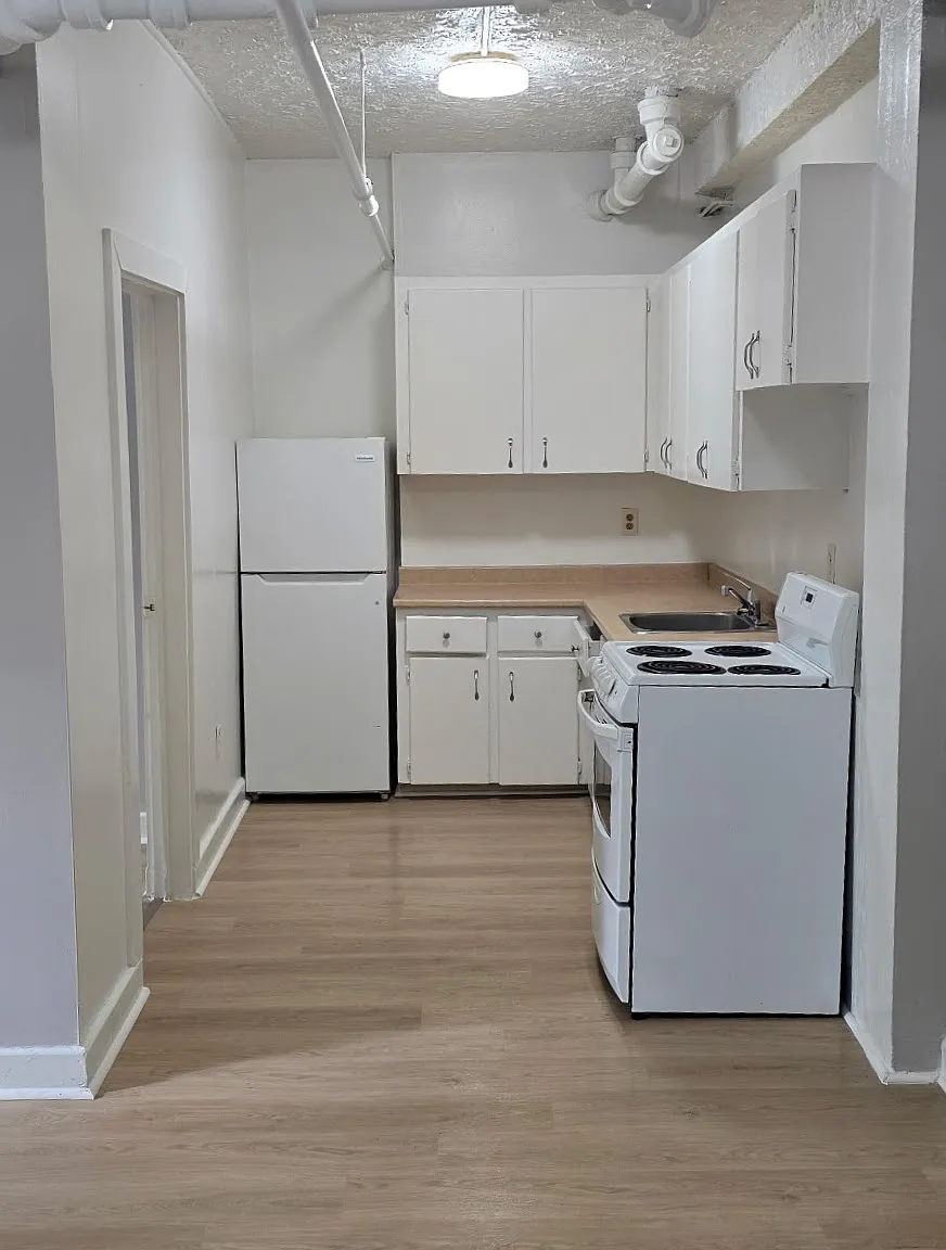 490 Wiley Avenue Windsor — Photo 1