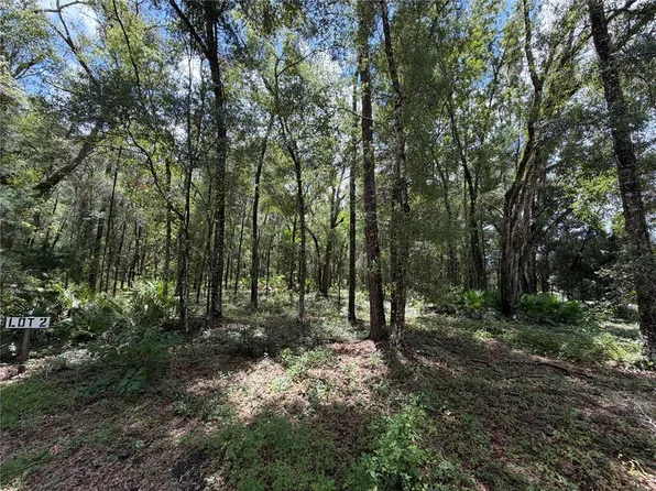 TBD SW 170TH STREET LOT 2, ARCHER, FL 32618