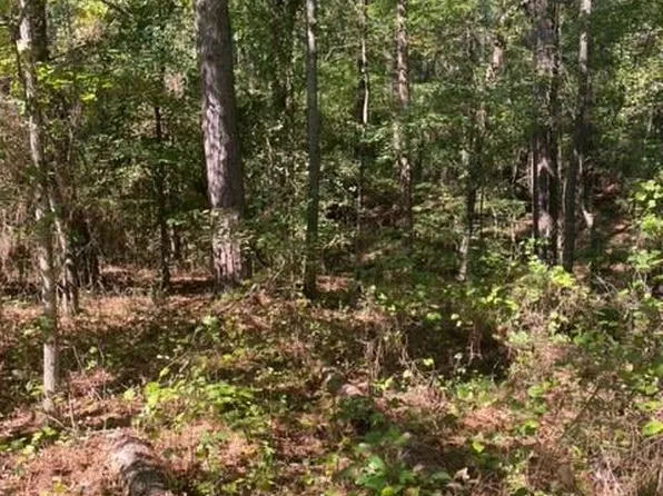 0 Maddox Chapel Rd NE, Dalton, GA 30721
