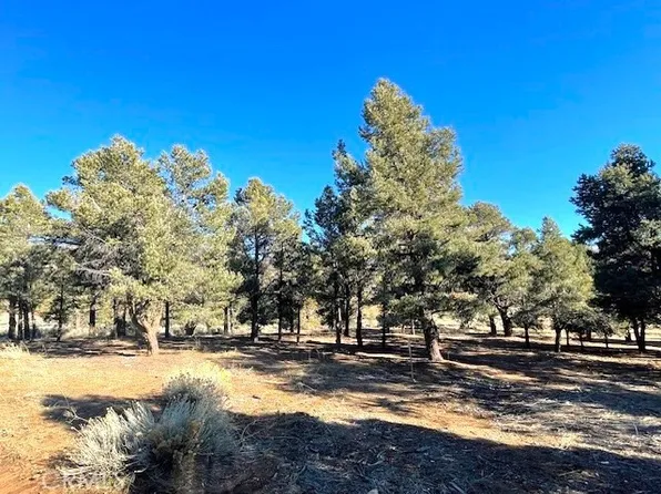 0 Falling Springs Rd #487, Big Bear City, CA 92314