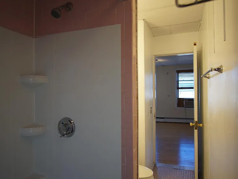 48 America St #2R — Photo 6