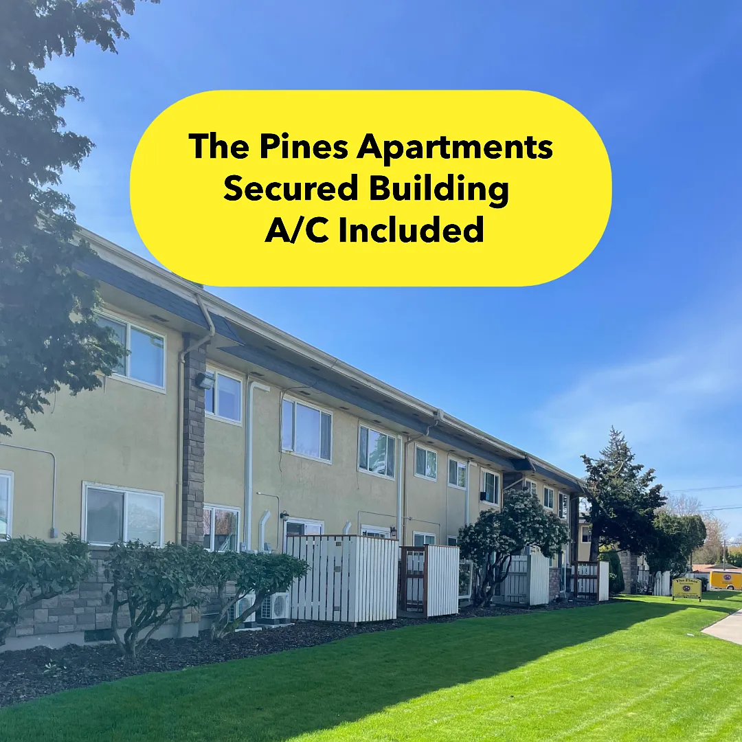 Pines — Photo 1