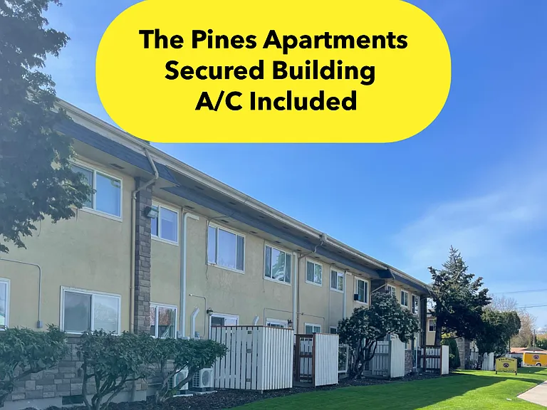 Pines — Photo 1