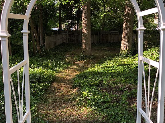 Private wooded yard
