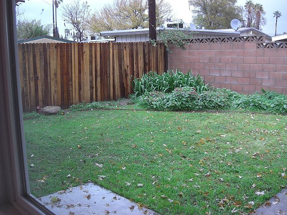 backyard w/new fence