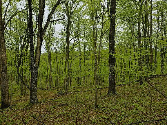 3rd image of 0 County Road 25