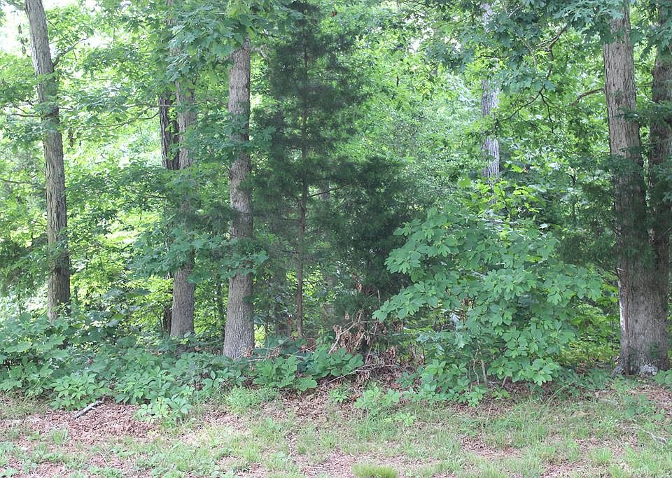 1st image of 2403 Clipper Ct