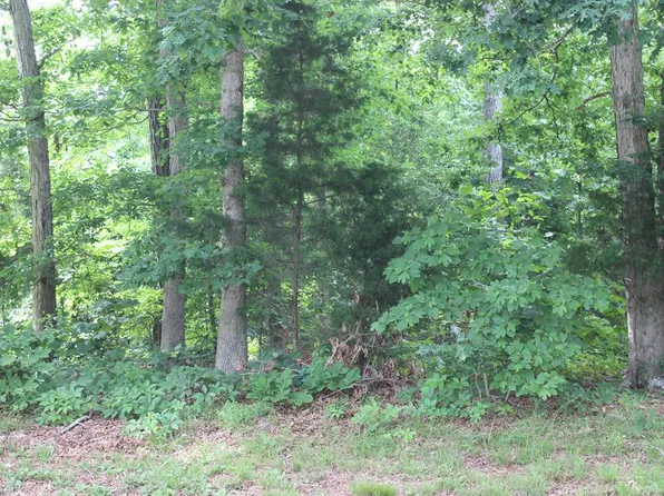 2403 Clipper Ct, Greenbackville, VA 23356