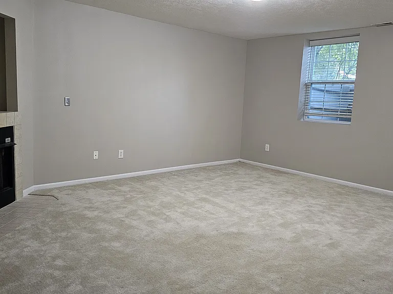 Lower level family room with fire place