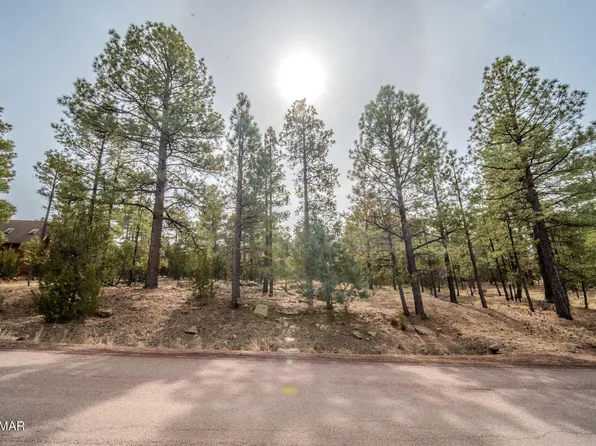 2273 Constellation Cir, Overgaard, AZ 85933
