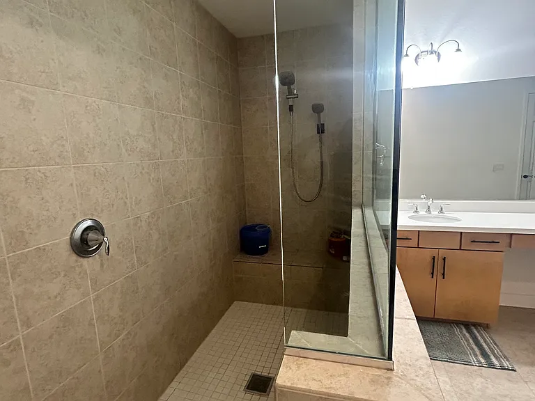 Master Bathroom Shower