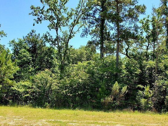 4th image of 141 Kings Lake Estates Blvd Lot 20