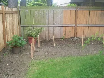 Unit #4 Pic 1 - private fully fenced yard