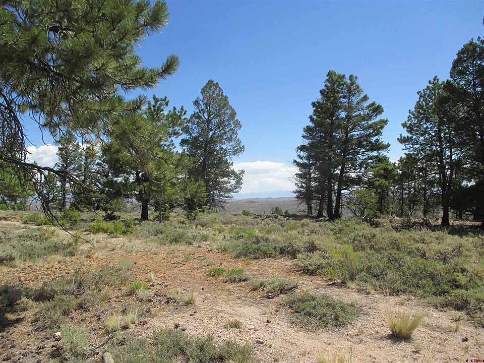 1st image of 809 Schofield Trail