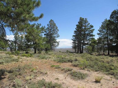 809 Schofield Trail, Powderhorn, CO, 81243