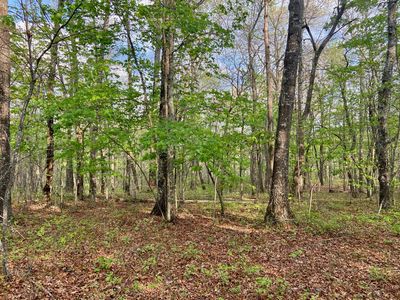 0 Laurel Ridge Rd, Dunlap, TN, 37327