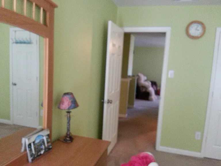 11503 Gorham Park Cir — Photo 15