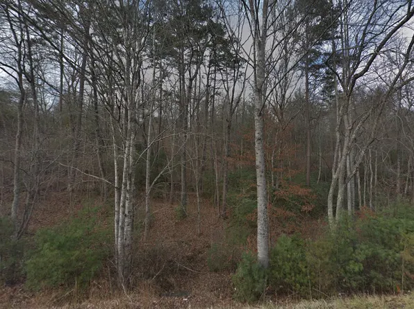 Hawks Ridge Dr, Mineral Bluff, GA 30559
