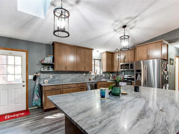 119 Raven Drive, Bailey, CO 80421