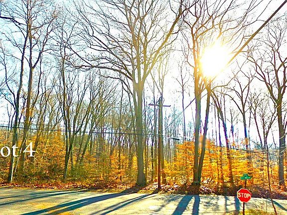 5th image of Lot #4 West Mischa Road