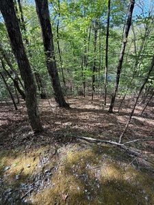 0 Heritage Way, Otto, NC, 28763