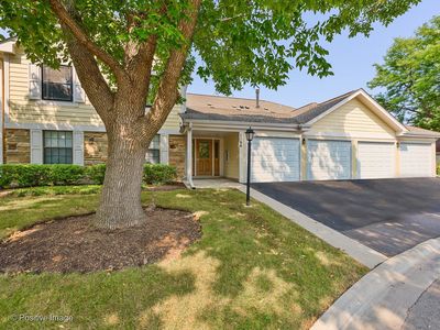 1166 Buckingham Ct APT D2, Wheeling, IL, 60090