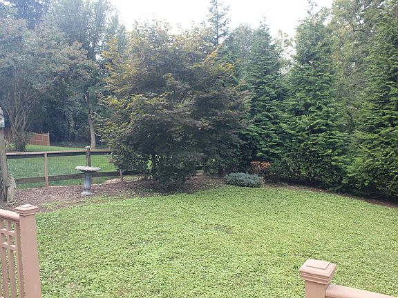 Backyard corner