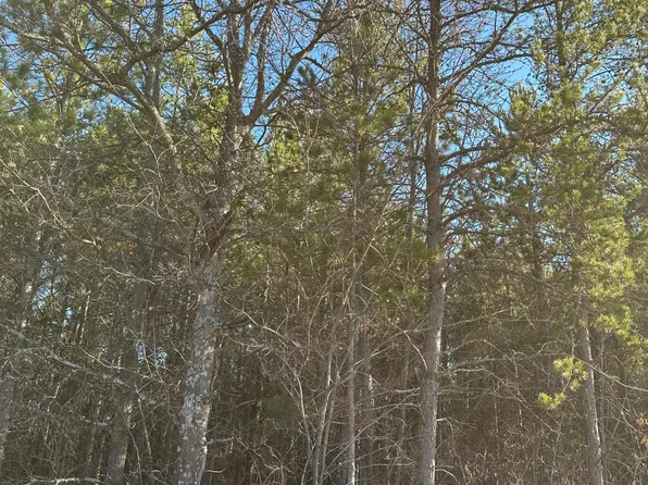 Lower Kaubashine Rd #4094-1, Minocqua, WI 54548