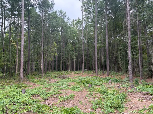 111 Marie Ct, Havelock, NC 28532