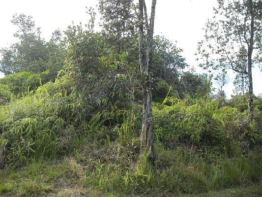 2nd image of Road 8 Moho Lot 4298