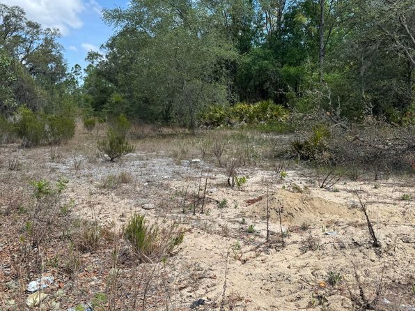 121 BROWN Street, Interlachen, FL 32148