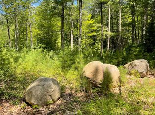 7242 Coon Lake Rd, Rhinelander, WI 54501