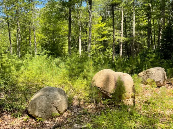 7242 Coon Lake Rd, Rhinelander, WI 54501