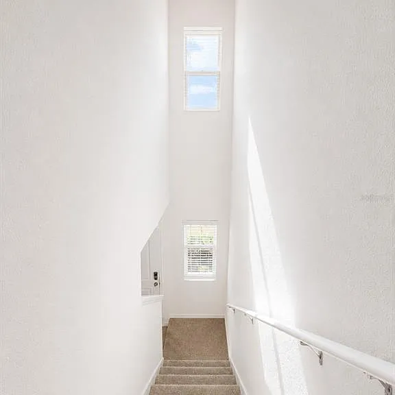 3597 Copper Beech Dr — Photo 11