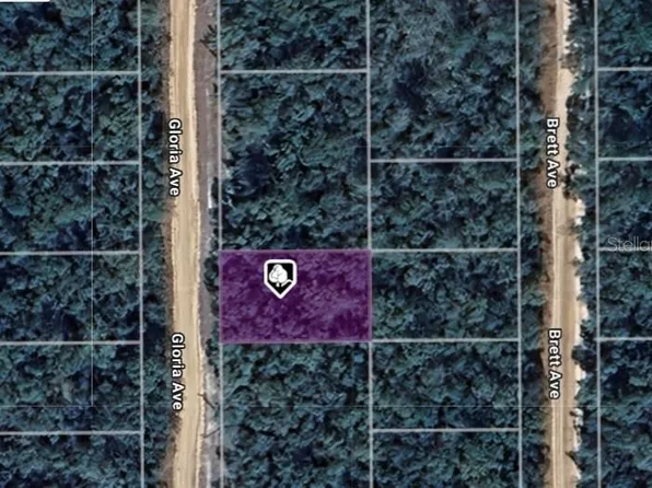 LOT 8 Gloria Ave Lot 8, Interlachen, FL 32148