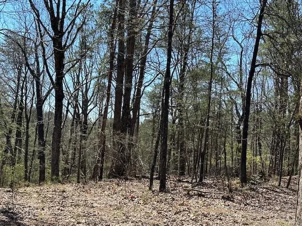 Wendy Hill Rd, Ellijay, GA 30536