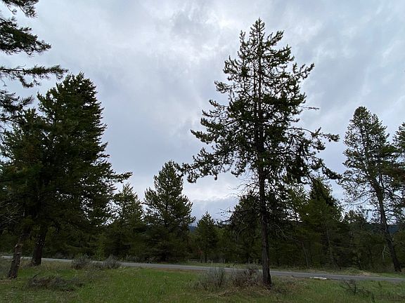 3rd image of 211 Jussila Bow Pl