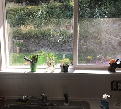 kitchen sink area